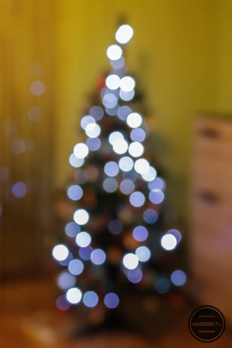 moja pierwsz choinka świeci się bokeh