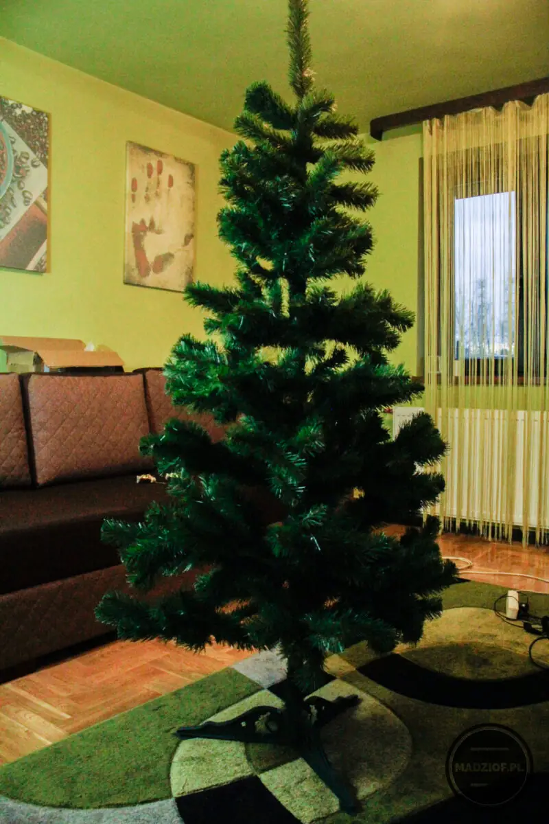 Moja pierwsza choinka Moja pierwsza choinka