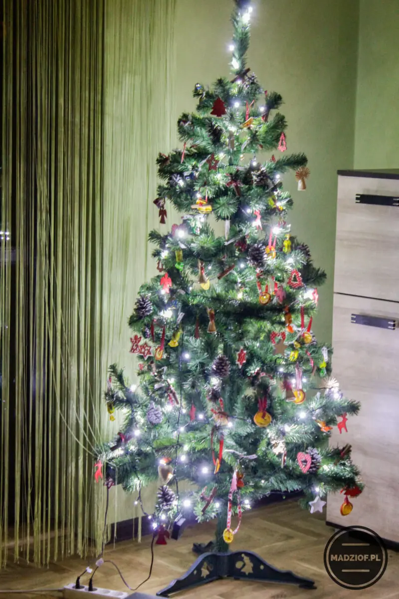 moja pierwsz choinka świeci się
