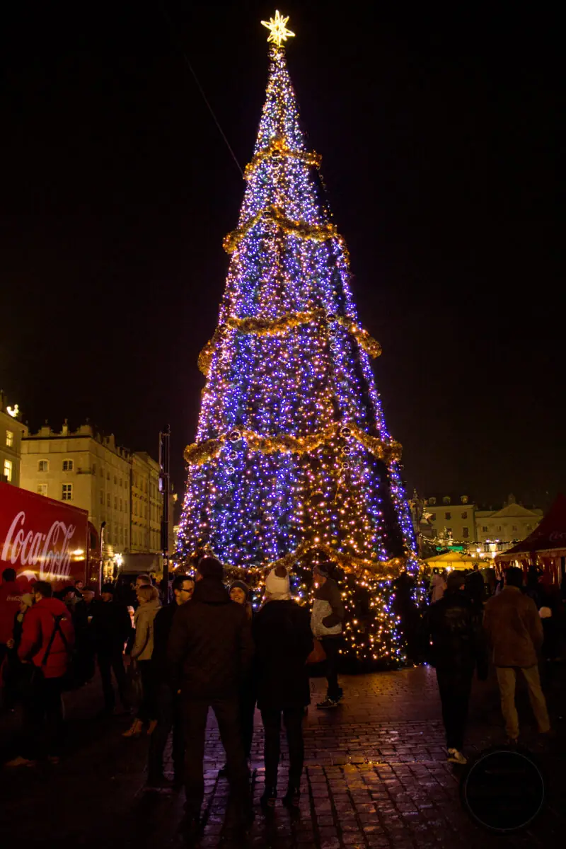 Kiermasz bożonarodzeniowy - Kraków 2014 choinka