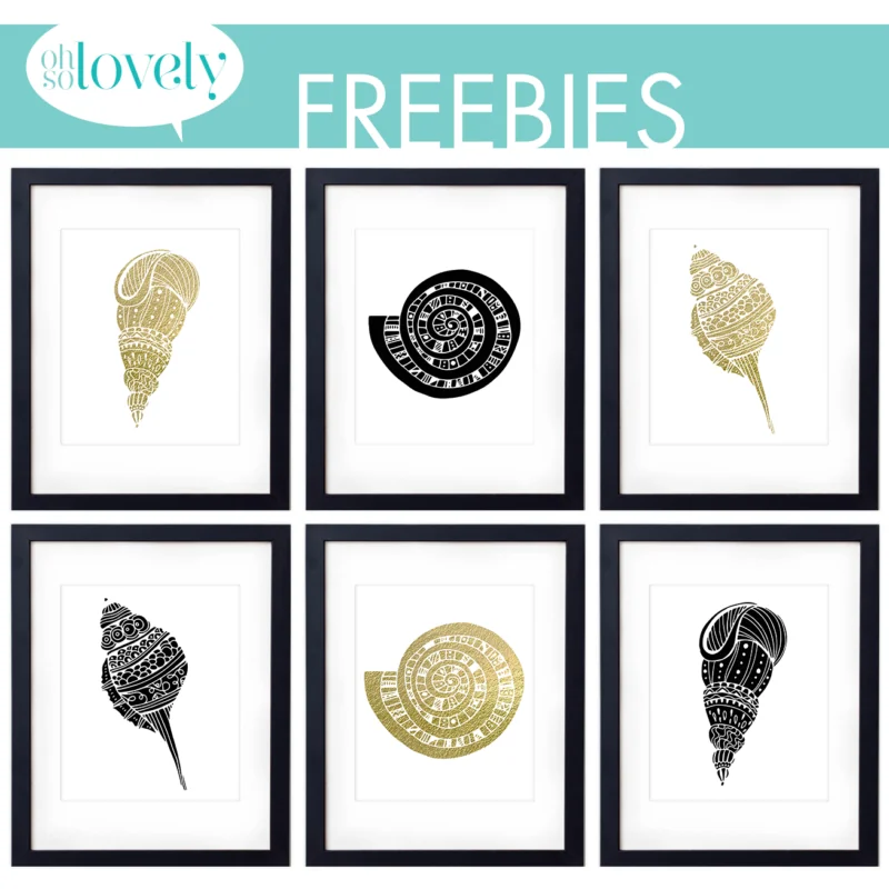 letnie grafiki do wydruku muszelki