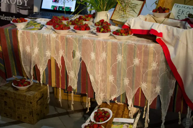 najedzeni fest krakow 2015