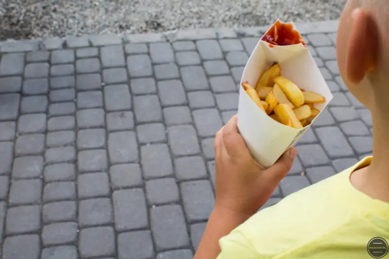 najedzeni fest krakow 2015