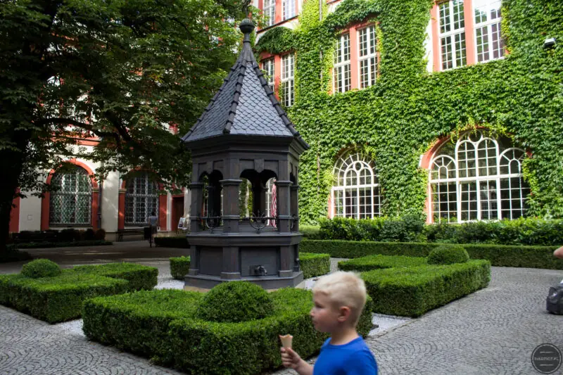 co ciekawego mozna zobaczyc we wroclawiu - ossolineum-19