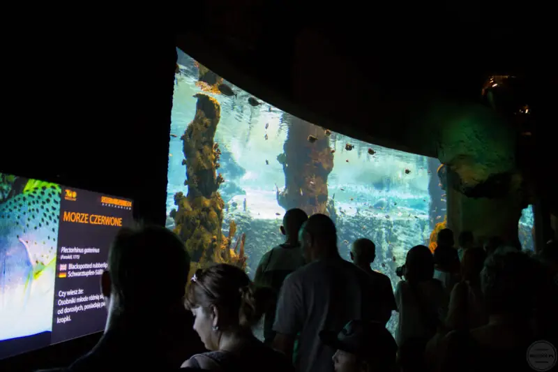 co ciekawego mozna zobaczyc we wroclawiu - zoo-32