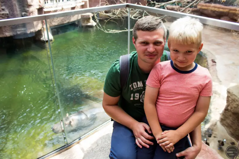 co ciekawego mozna zobaczyc we wroclawiu - zoo-37