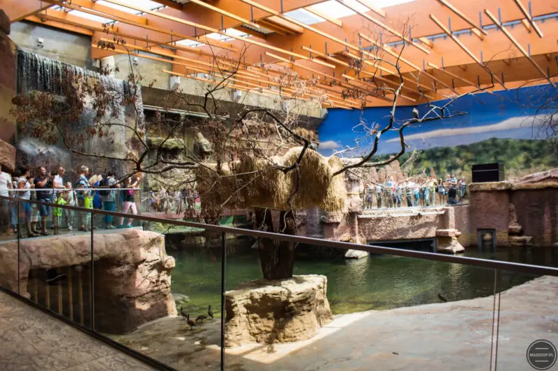 co ciekawego mozna zobaczyc we wroclawiu - zoo-38