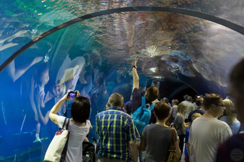 co ciekawego mozna zobaczyc we wroclawiu - zoo-40