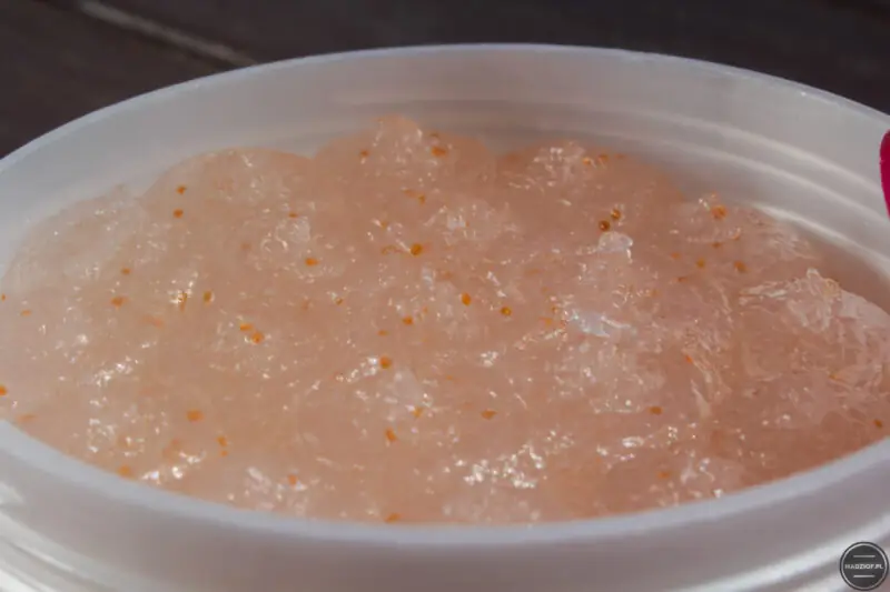 perfecta spa cukrowy peeling wygladzajacy lody melba-3