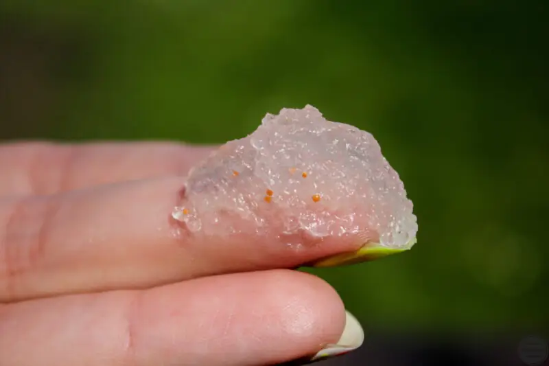 perfecta spa cukrowy peeling wygladzajacy lody melba-7