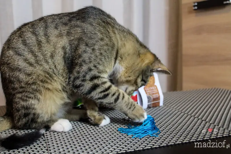 pierwsze spotkanie blogerek w krakowie pierwsze spotkanie blogerek w krakowie -5