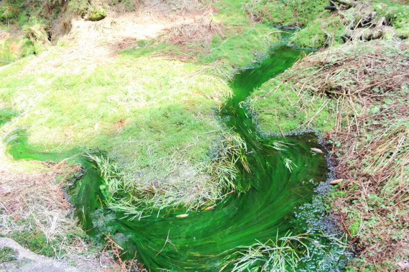 teplice skalne miasto teplice skalne miasto -27