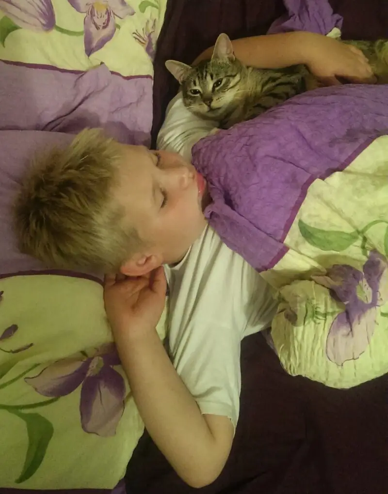 rzeczy-ktore-musisz-wiedziec-jesli-decydujesz-sie-na-kota rzeczy-ktore-musisz-wiedziec-jesli-decydujesz-sie-na-kota-m