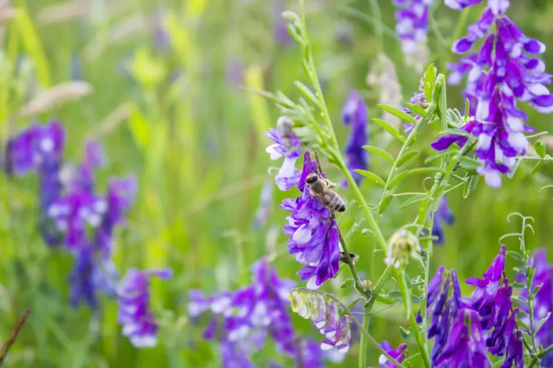 rzeczy ktore mozesz zrobic kiedy ci sie nudzi
