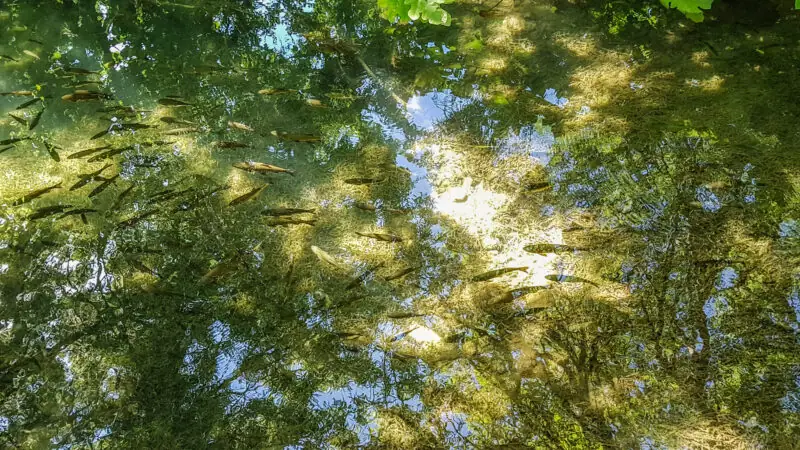 wycieczka do parku narodowego krka wodospady i trogir chorwacja 2017