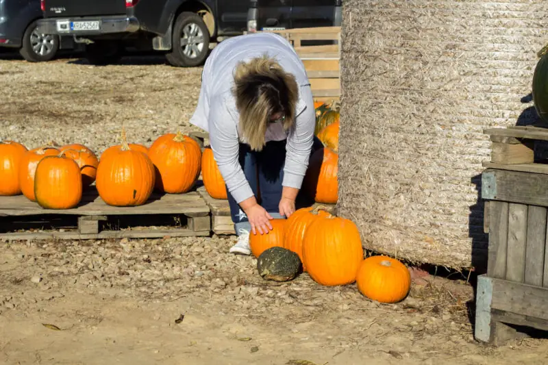 pomysly na jesienna sesje zdjeciowa dynie farma dyn krakow