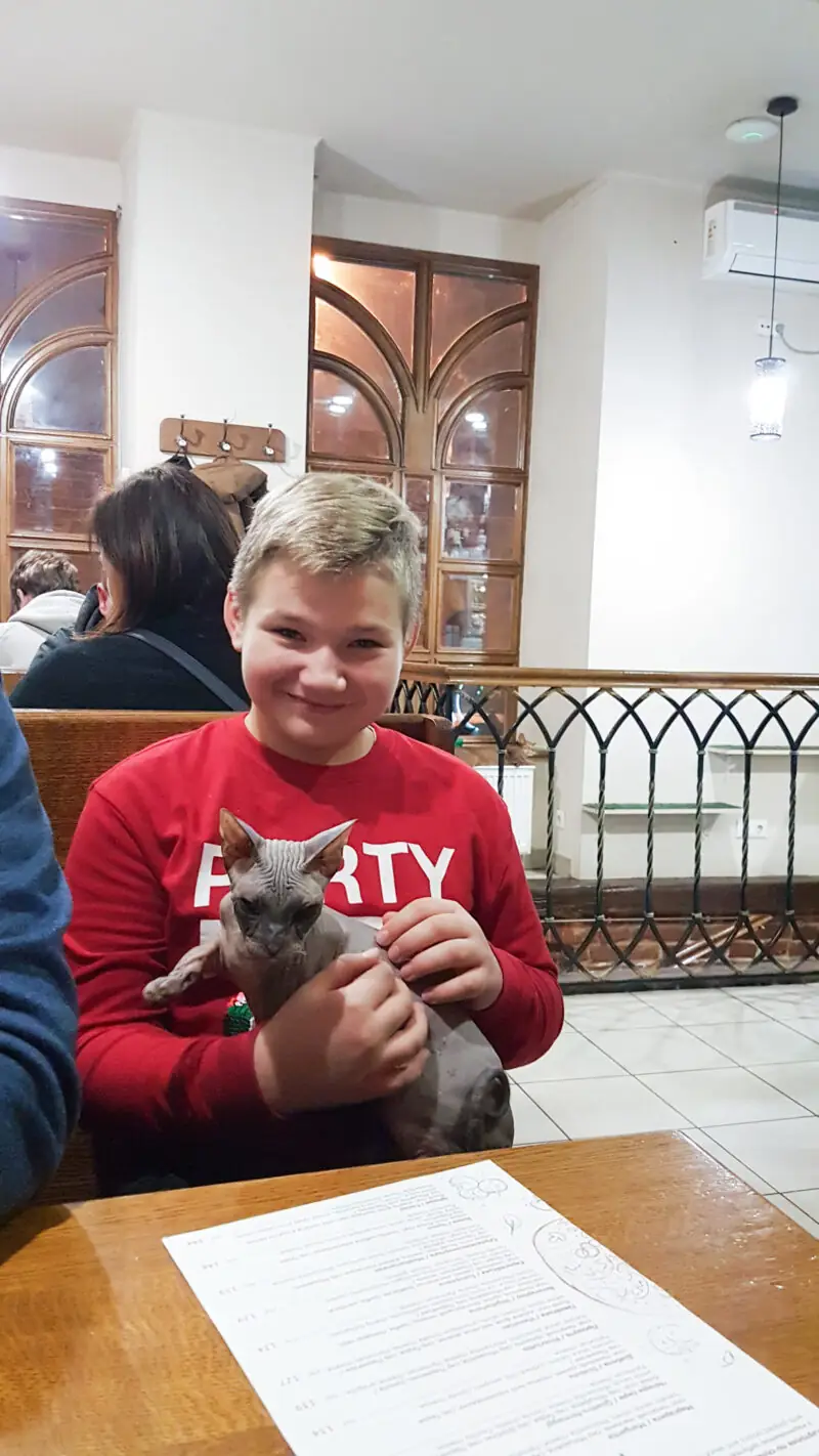 gdzie warto zjesc we lwowie restauracje i kawiarnie polecam kocia kawiarnia lwow