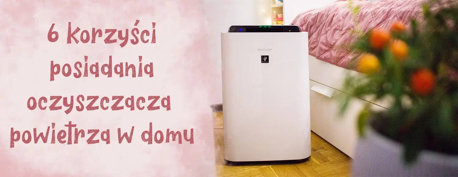 6 korzysci posiadania oczyszczacza powietrza w domu