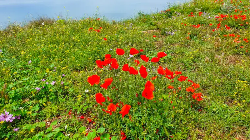 co zobaczyc w bulgarii miejsca ktore polecam kaliakra