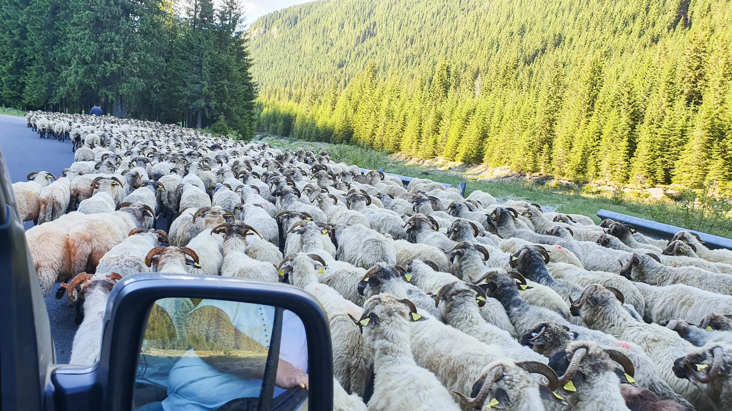 samochodem na wakacje wieksza ekipa